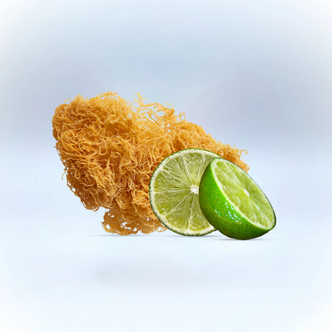 Original sea moss